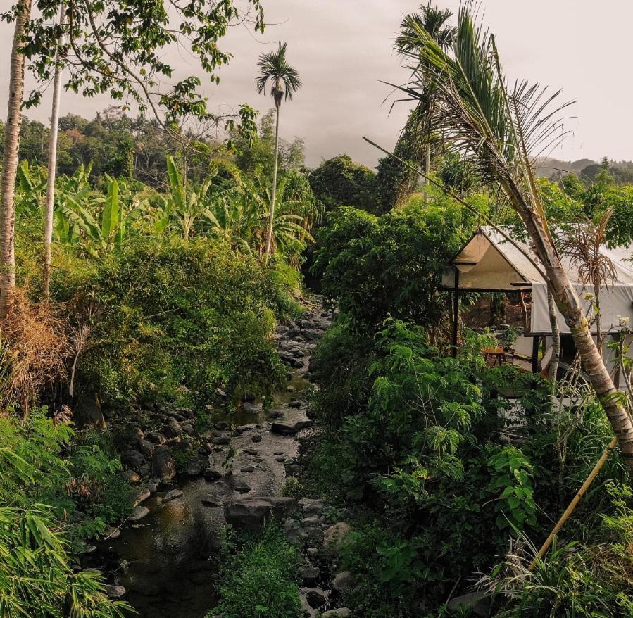 Camani Glamping Hotel Karangasem Amlapura Exterior foto