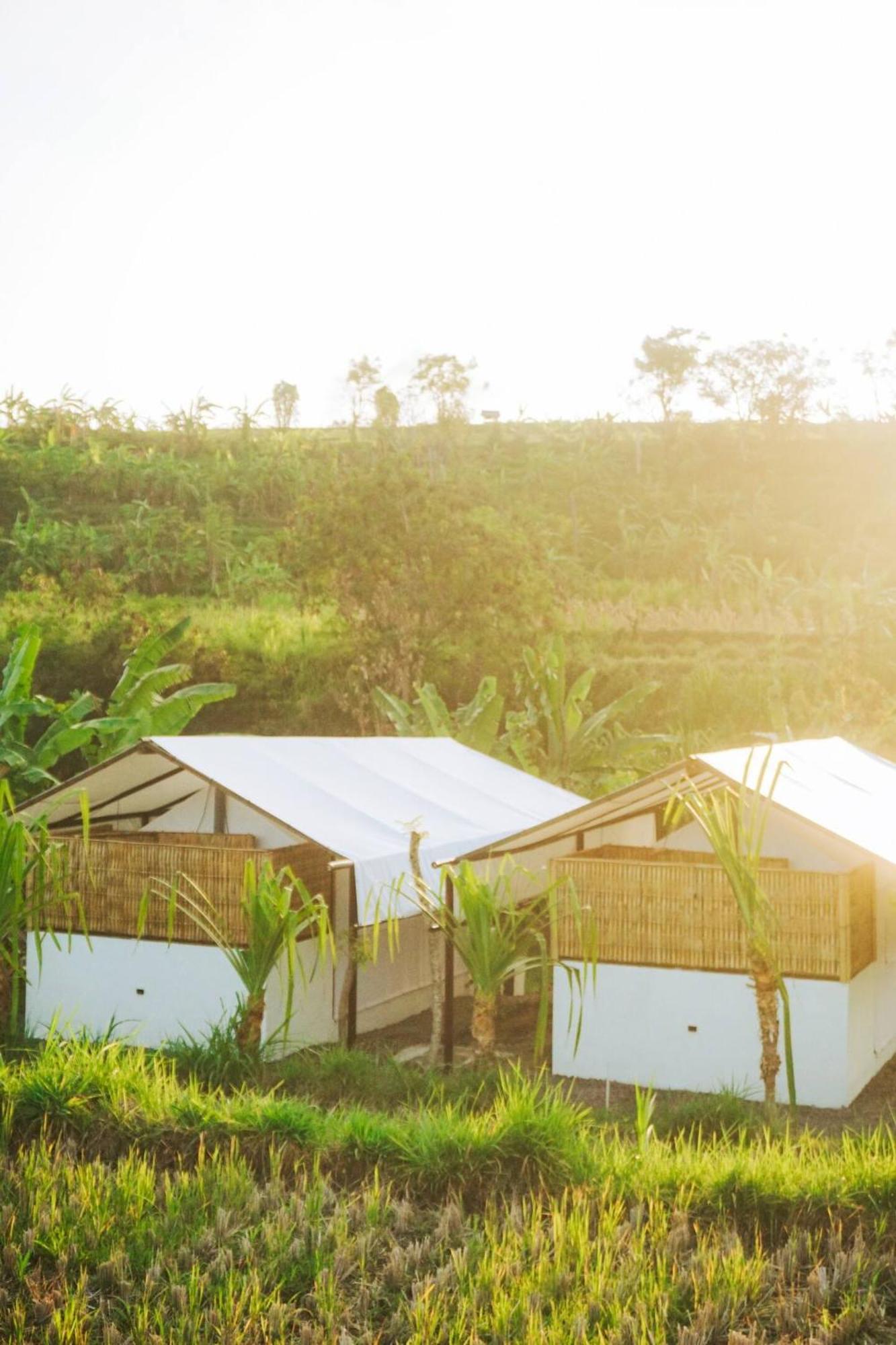 Camani Glamping Hotel Karangasem Amlapura Exterior foto