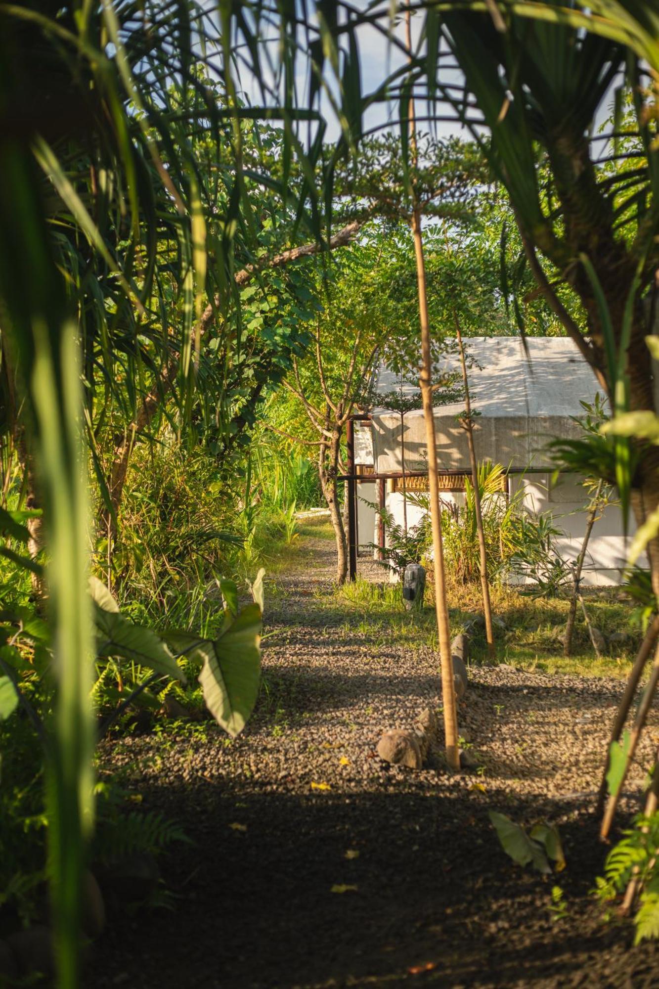 Camani Glamping Hotel Karangasem Amlapura Exterior foto