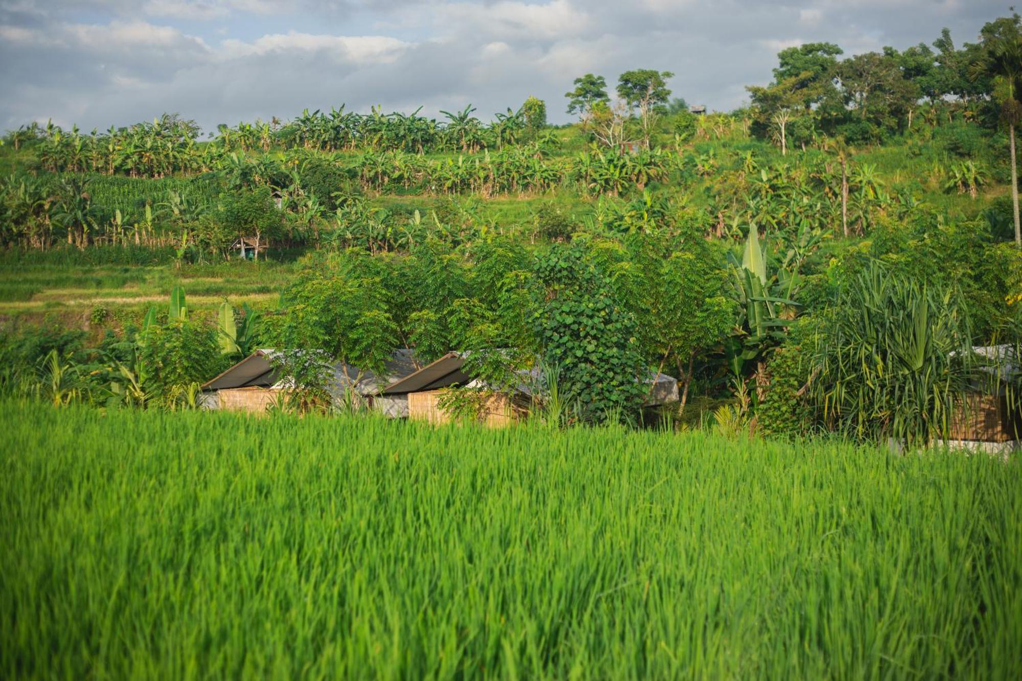 Camani Glamping Hotel Karangasem Amlapura Exterior foto