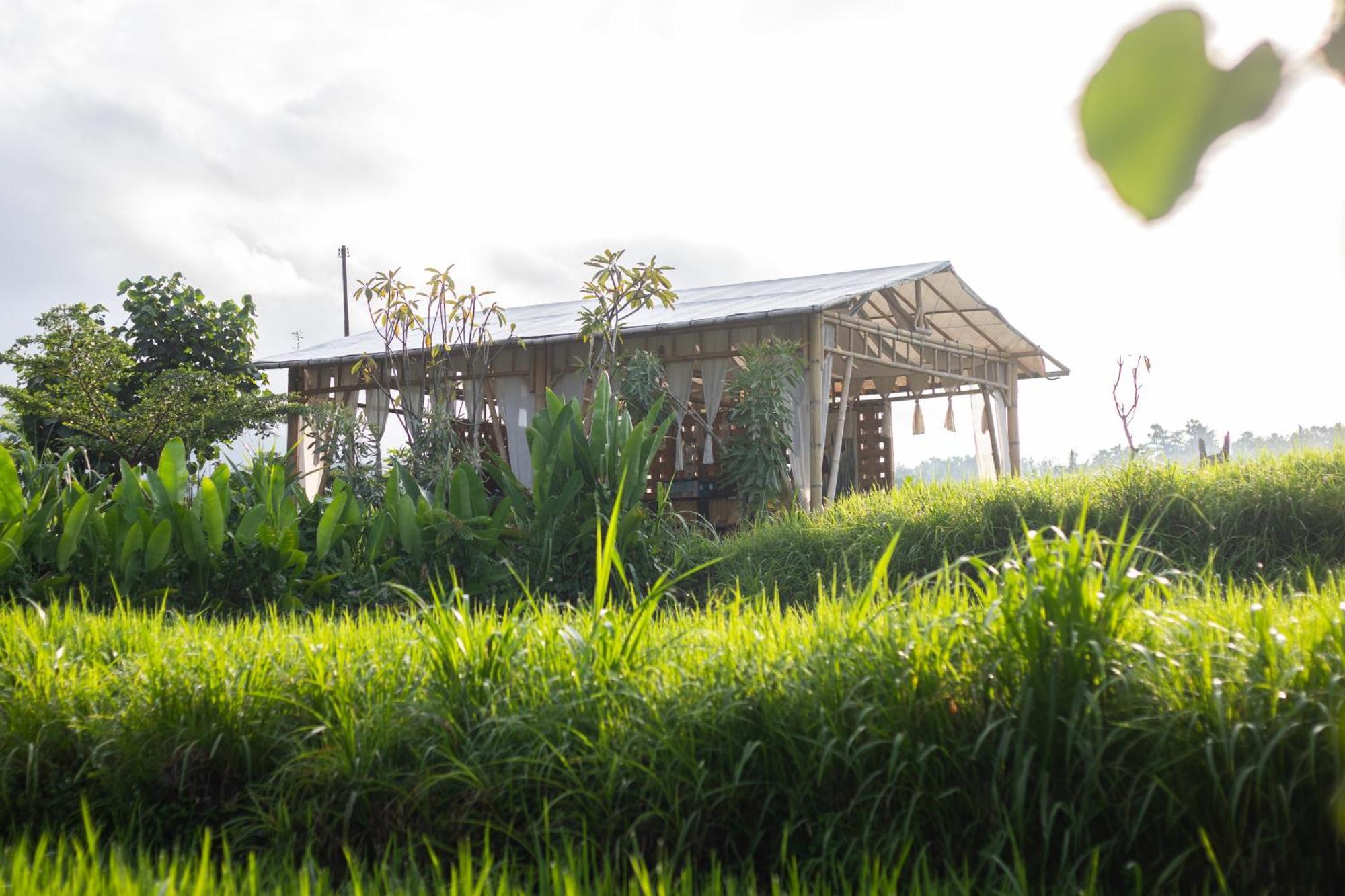 Camani Glamping Hotel Karangasem Amlapura Exterior foto