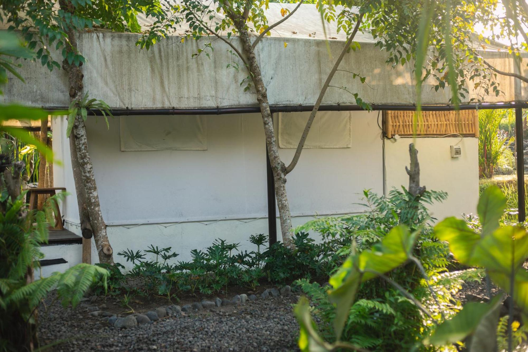 Camani Glamping Hotel Karangasem Amlapura Quarto foto